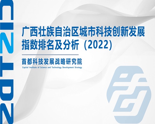 妞操了【成果发布】广西壮族自治区城市科技创新发展指数排名及分析（2022）